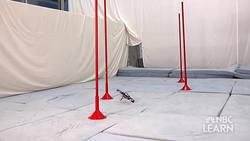 Science of the Winter Olympic Games - Olympic Movement and Robotic Design Instructional Video