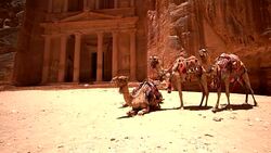 Petra - Al Khazneh (The Treasury) Stock Footage