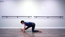 Leg Flexibility Stretches for Beginners Instructional Video