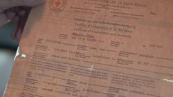 Survivors mark 75 years since Auschwitz liberation Instructional Video