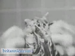 Care of Hair and Nails Instructional Video