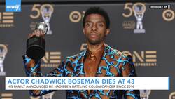 Actor Chadwick Boseman Dies Of Cancer At 43 News Clip