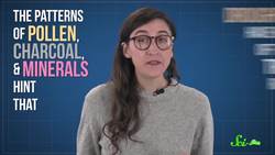 How Ancient Pollen Can Predict The Future Instructional Video