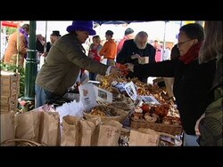 Wild and Cultivated Mushrooms at the Farmers Market Instructional Video