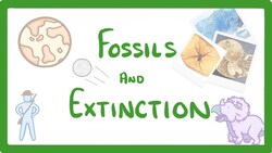 GCSE Biology - What Are Fossils? What Fossils Tell Us About Extinct Species #78 Instructional Video