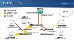 Cisco CCNA 200-301: The Complete Guide to Getting Certified - VLAN Trunk Ports Instructional Video