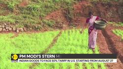 India-U.S Tariff Clash: India Will Not Yield to U.S. Tariffs, Says PM Modi News Clip