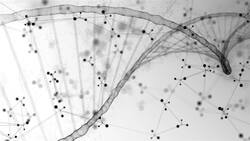 I WONDER - What Is Genetic Variation? Instructional Video