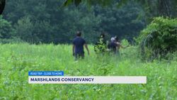 Marshlands Conservancy in Rye offers nature escape Instructional Video
