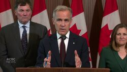 Carney defends choice to invite India's Modi to G7 News Clip