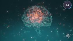 Did You Know? In 60 Seconds: Meditation Practice Instructional Video