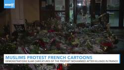 Muslims In Several Countries Protest Cartoons After Violence In France News Clip