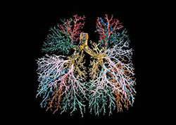 Bronchiole Instructional Video