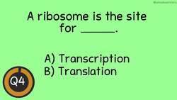 Protein Synthesis: Before the Bell Biology Instructional Video