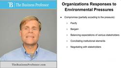 Organizational Responses to Environmental Pressures Instructional Video