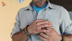 Mantis Karate Chops My Nose! Instructional Video