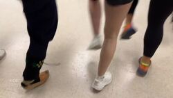 Windsor-based Serbian-Canadian dance group to perform in Serbia News Clip