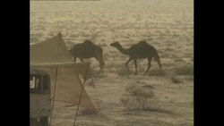 Soldiers of the Royal Irish Hussars at a Saudi desert outpost News Clip