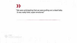 Here's what a Yukon farmer did when faced with a risky cow birth and no vet News Clip