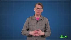 Dire Wolves Were Real! But Not Wolves Instructional Video