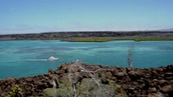 VOICED : Adaptarse para sobrevivir: ciencia y turismo tras los pasos de Darwin en Galápagos News Clip