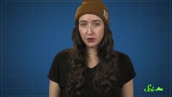 Biofluorescence: A Neon World Hidden in Plain Sight Instructional Video