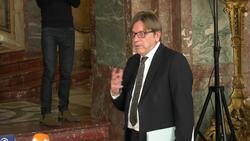 Liberal leaders gather ahead of EU summit Instructional Video