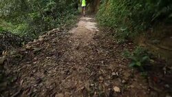 Woman trail runner running on tropical forest trail in the morning Stock Footage