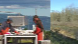 Restoring the Mississippi River Delta - USA Science and Engineering Fest Instructional Video