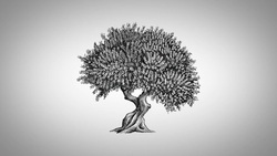 A Midsummer Night's Dream 2.1.231 Apollo and Daphne Instructional Video