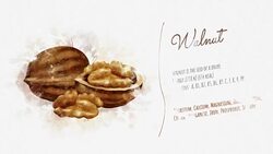 A beautifully animated card with information about Walnut Stock Footage