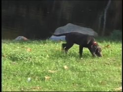 Topography and the Earth: Earth Layers Based on Physical Properties Instructional Video