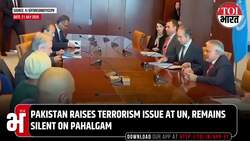 Pakistan Targets India at UN: Deputy PM Ishaq Dar Raises Kashmir, Indus Waters Treaty, Terrorism News Clip