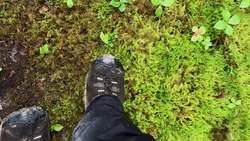 NASA Studies How Arctic Fires Change the World Instructional Video