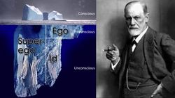 The Usefulness of Psychological Research Instructional Video