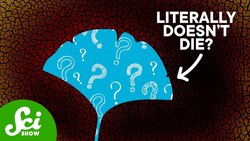 The Last Living Thing Won't Be a Cockroach Instructional Video