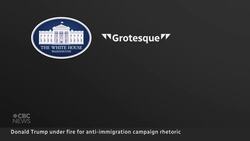 Trump doubles down on anti-immigrant rhetoric News Clip