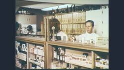 1960s: Bank teller hands woman coupon and she leaves Stock Footage