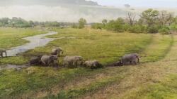 Australia, Antarctica, and Africa Instructional Video