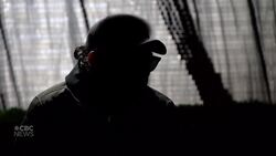 Former employee describes offensive comments allegedly made by MP News Clip