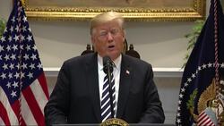 Trump: US troops should treat rocks as 'firearm' News Clip