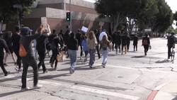 Activists celebrate in Hollywood after Joe Biden's election victory News Clip