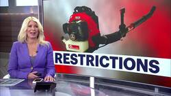 Greenwich implements new leaf blower restrictions News Clip