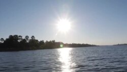 Travelling shot aboard boat on Hwange National Park News Clip