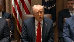 Trump Says 'Gold Cards' Can Be Used for Recruitment News Clip