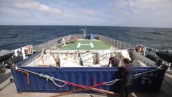 CLEAN : Greenpeace drops boulders at sea, calls for ban on bottom trawling News Clip