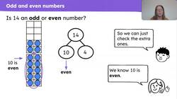 Explore odd and even numbers within 20 Instructional Video
