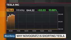 Billionaire Novogratz Says Tesla Feels Like Bitcoin News Clip