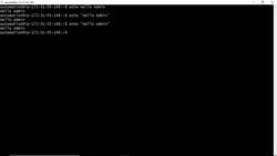 Bash Shell Scripting- First Simple Hello World Script using the echo command Instructional Video