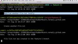 Complete Git Guide: Understand and Master Git and GitHub - Fetching Remote Changes Manually Instructional Video